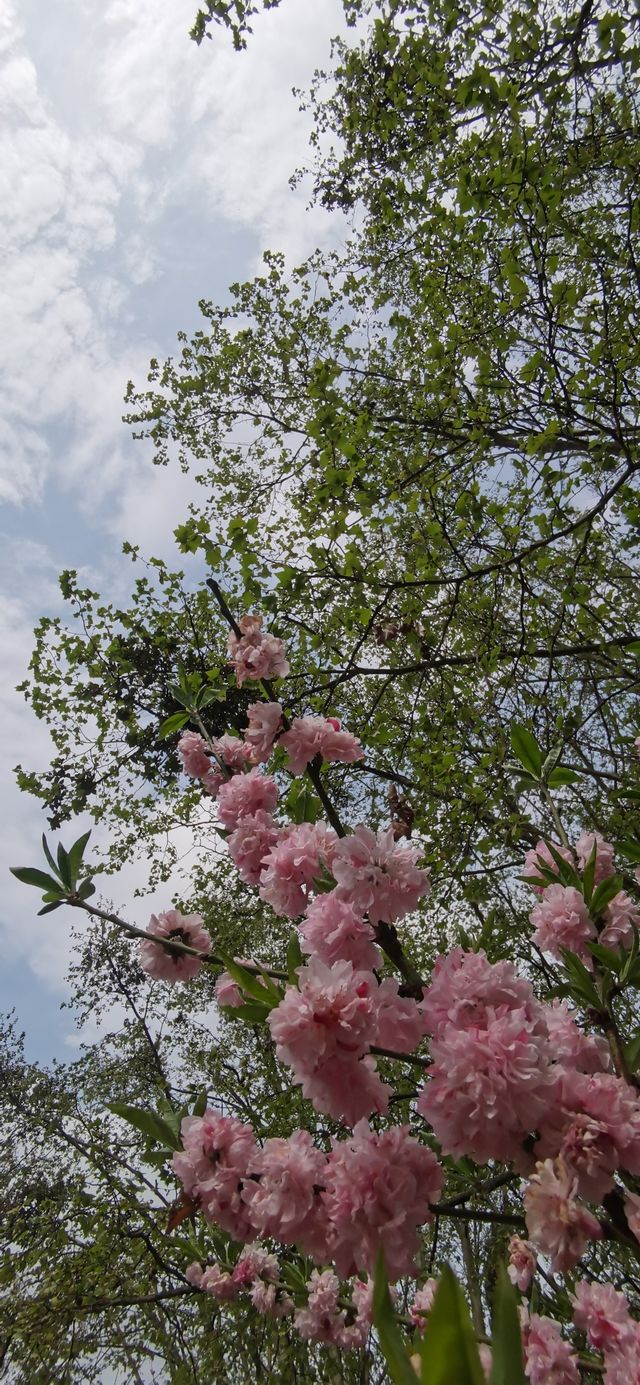 十里河灘