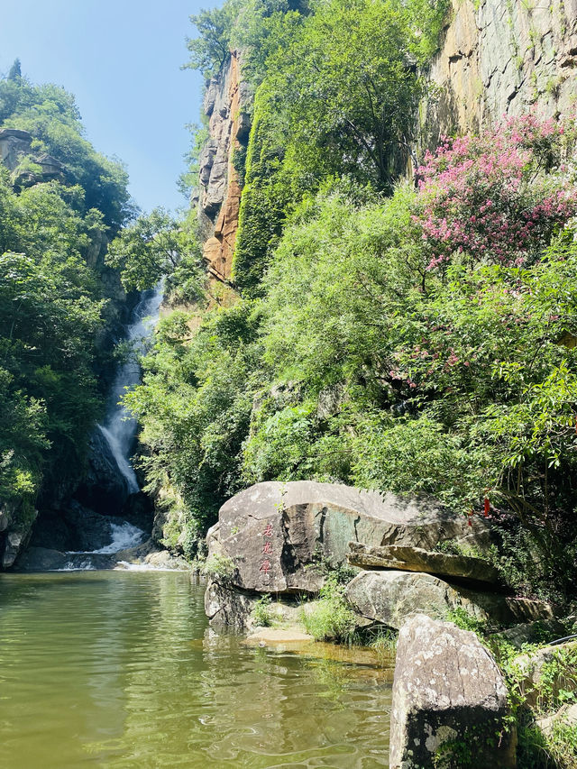 帶娃的避暑聖地
