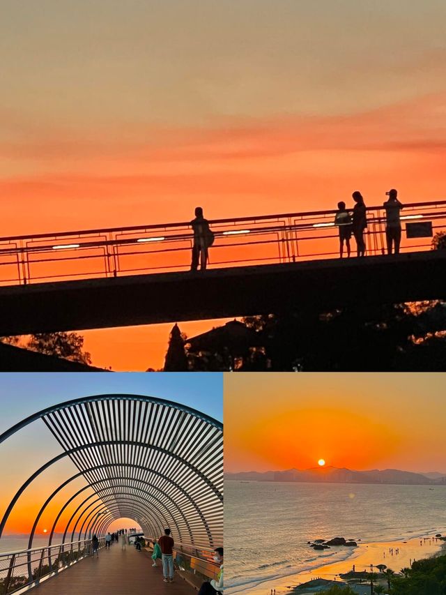 廈門！！！山海city walk路線！後悔沒早看到！