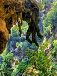 想你的風還是吹到了馬嶺河峽谷