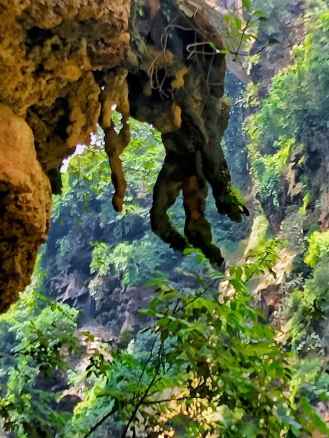 想你的風還是吹到了馬嶺河峽谷