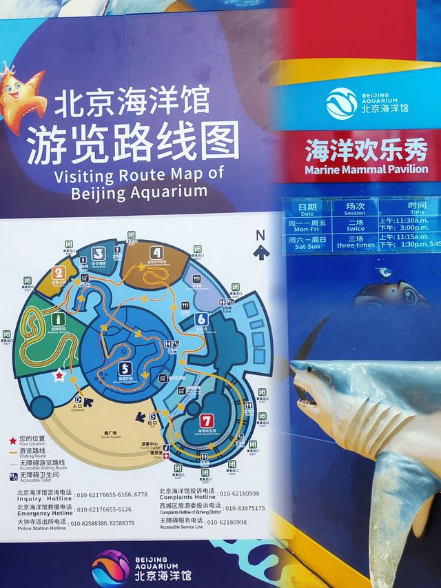 北京海洋館三年年卡會員的遊玩全攻略