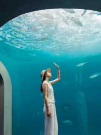 I liked Shikoku Aquarium so much❤️🥰