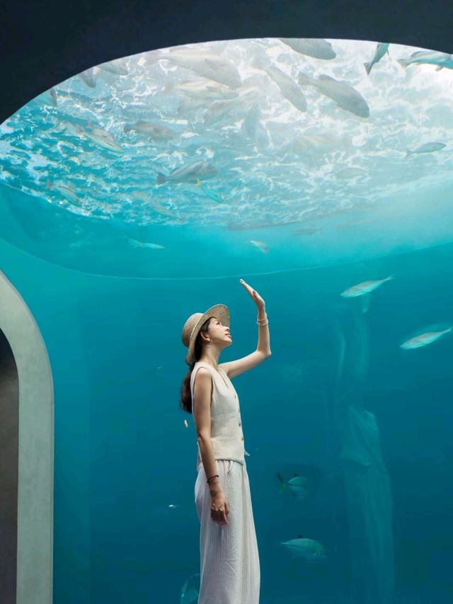 I liked Shikoku Aquarium so much❤️🥰