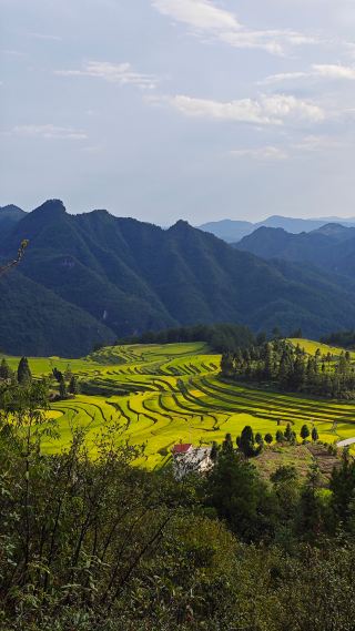 The beautiful scenery of the terraces is all-encompassing