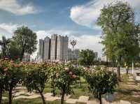 Xianyang’s Beauty