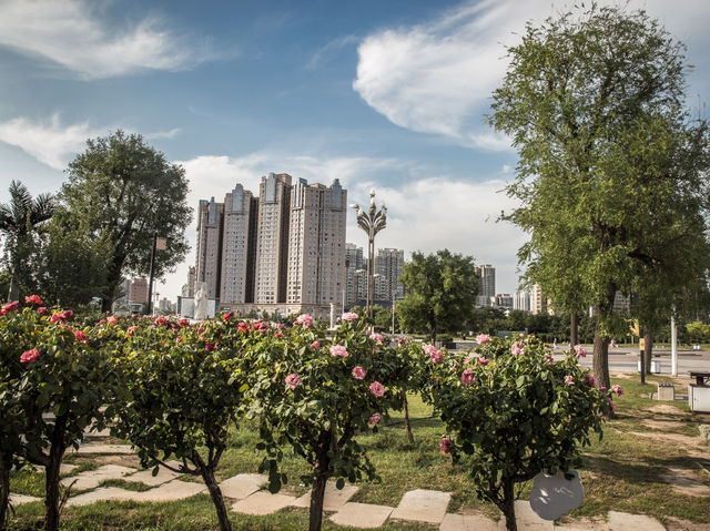 Xianyang’s Beauty