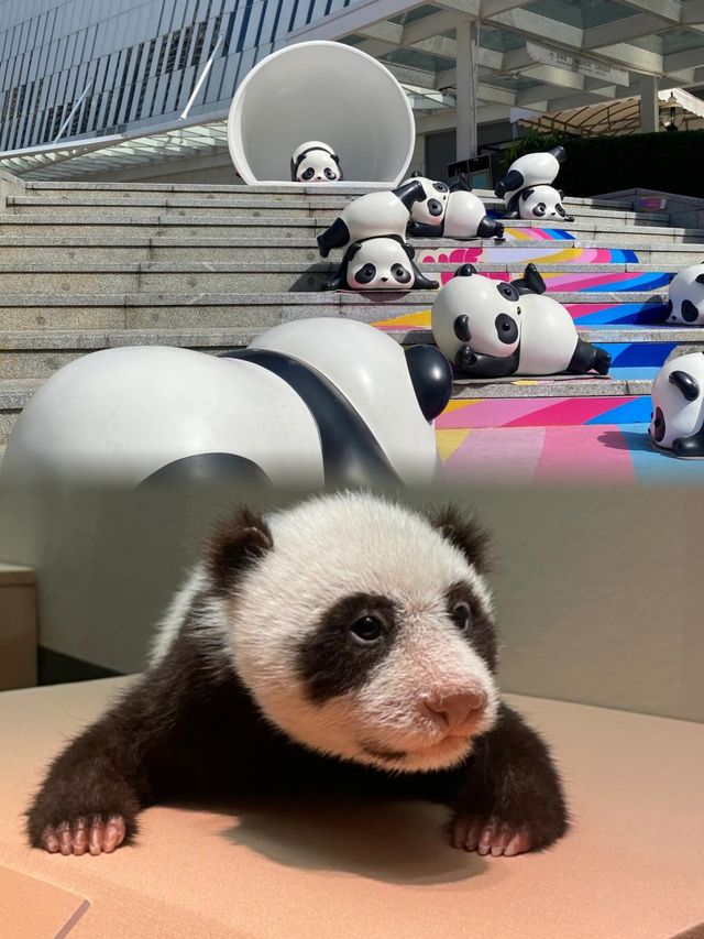 不是?!深圳你真的……