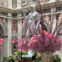 Four seasons hotel in Florence Italy is literally a fairly tale .