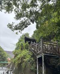 安吉之旅的最後一個景點，真的讓人又愛又怕。。