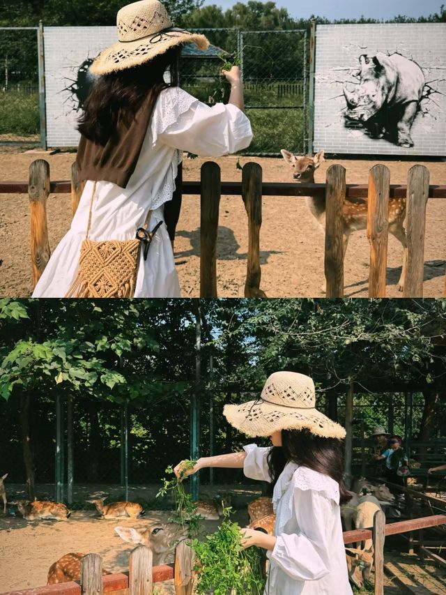 北京出發一小時，我以為來到了「阿勒泰」。