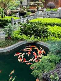 《建水寶藏 | 和院酒店，邂逅古城之美》。