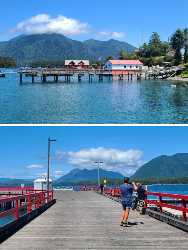 溫哥華出海觀鯨首推地點，一定是太平洋外海的 Tofino 托菲諾。
