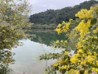大埔瑞山度假村。