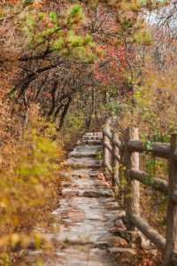 北京金海湖 | 一半山川一半湖海，快去美瘋了！。