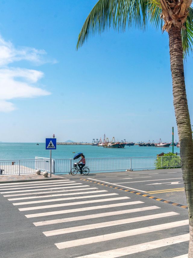 旅行四年，去過國內最治癒的小眾海島 在廣東找到了一個能滿足對海邊所有幻想的小島 礁石、燈塔、橘子海。