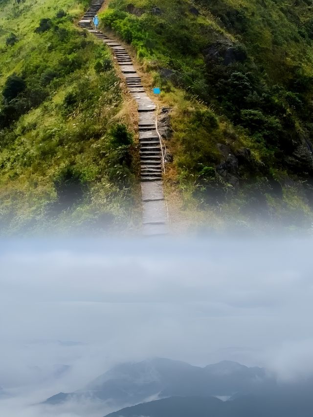 攀登銅鼓峰，體驗自然的壯麗與挑戰。