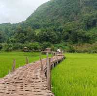 โอนโซนอันดับ 6 อยู่ที่นี่ วัดนาคูหา จ.แพร่