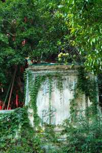 鎮遠|遠觀青龍洞古建築群。
