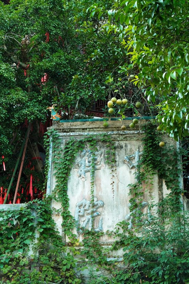鎮遠|遠觀青龍洞古建築群。