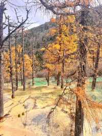 Exploring Huanglong Scenic Area: A Natural Wonder