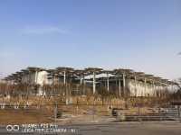 北京遊之四：冬天的世園公園。