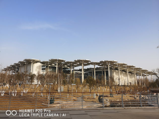 北京遊之四：冬天的世園公園。