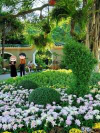 速看！中山公園菊花展遊玩攻略。