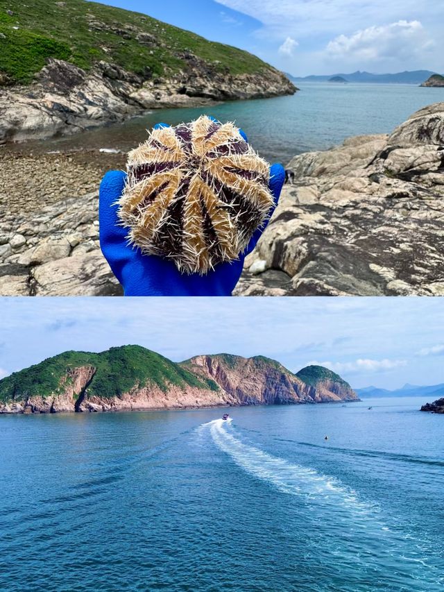 香港小眾海島99%的人都未曾到訪過……