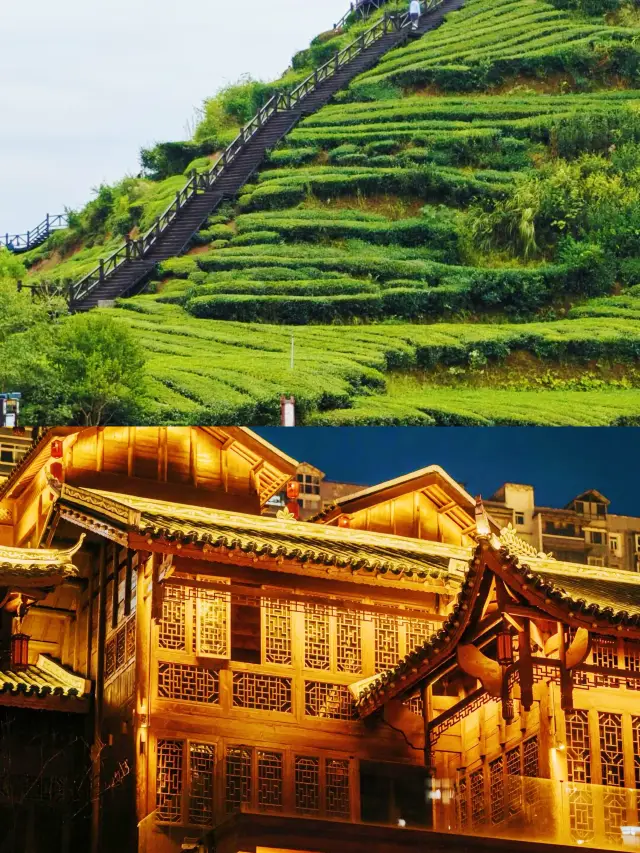 สถานที่นี้สวยงามมากจนเข้าไปแล้วไม่อยากออกมาเลย