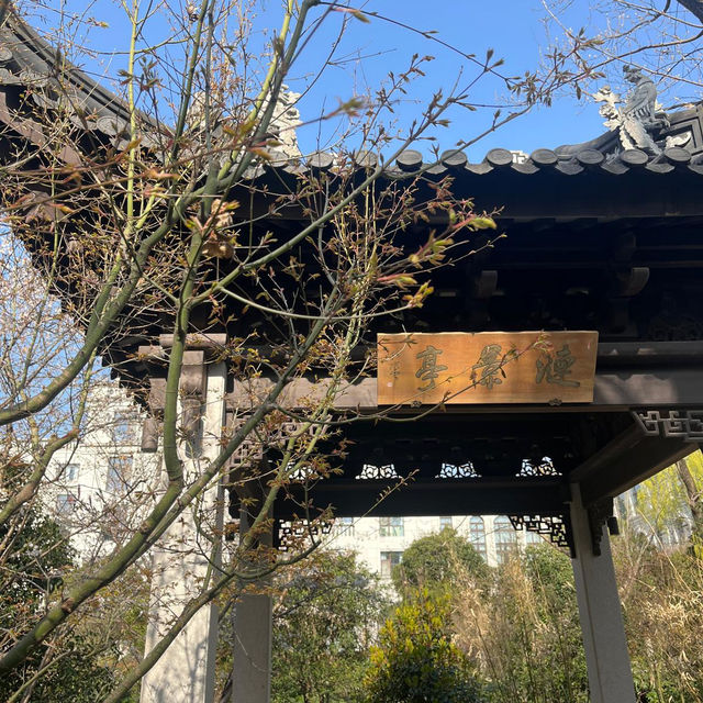 南京紫霞湖公園  出麈的絕美賞花地！