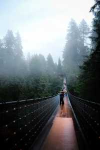 Capilano Suspension Bridge Park: A Must-Visit in Rainy Weather