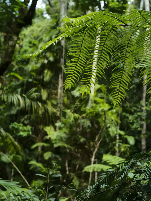 4일간의 호주 핵심 여행 인기 명소 투어