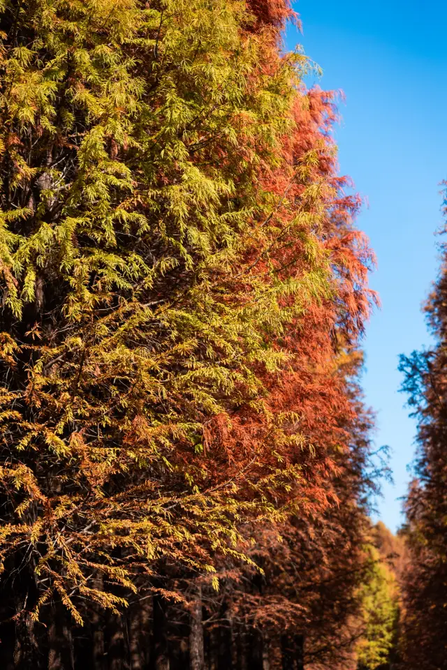 Dianchi Lake ~ Winter by the Haiwei Hotel