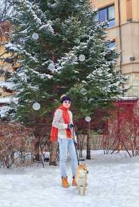 來長白山滑雪住萬達威斯汀的8大理由