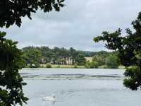 Explore Harewood House: A Journey into Downton Abbey