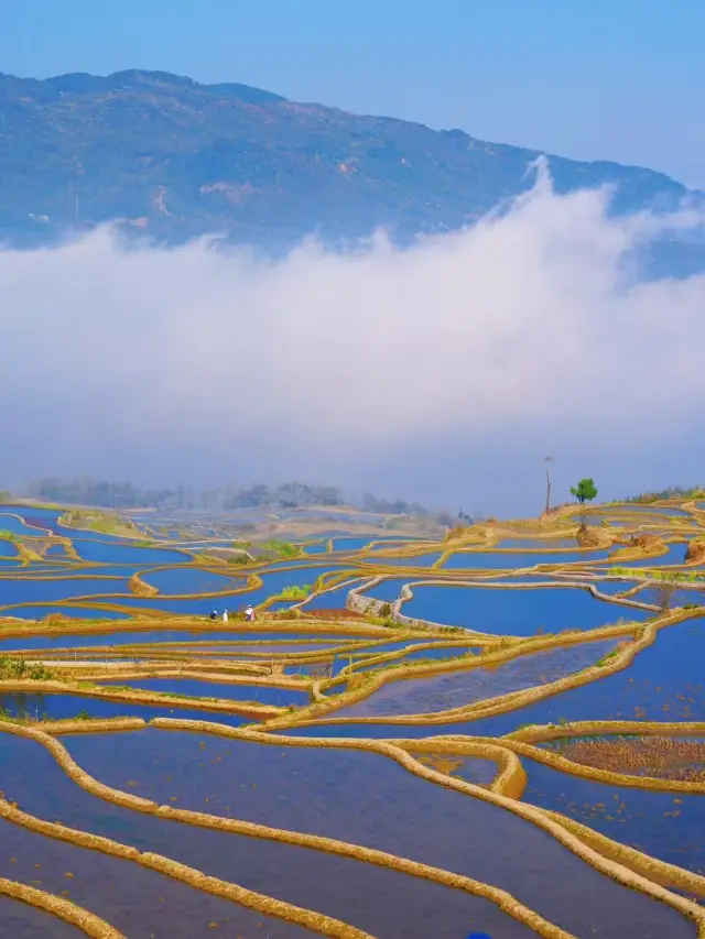 ฤดูกาลท่องเที่ยวหยวนหยาง
ช่วงเวลาท่องเที่ยว