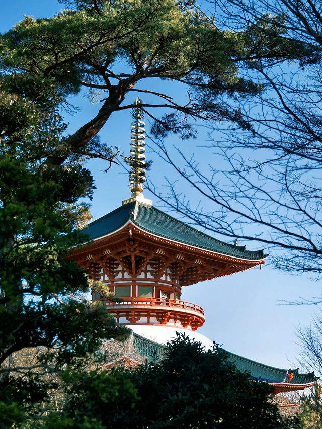 6天暢遊日本 朋友圈熱門攻略來襲