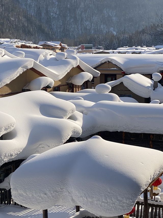 哈爾濱-雪鄉2日遊超詳細攻略 玩轉冰雪童話世界