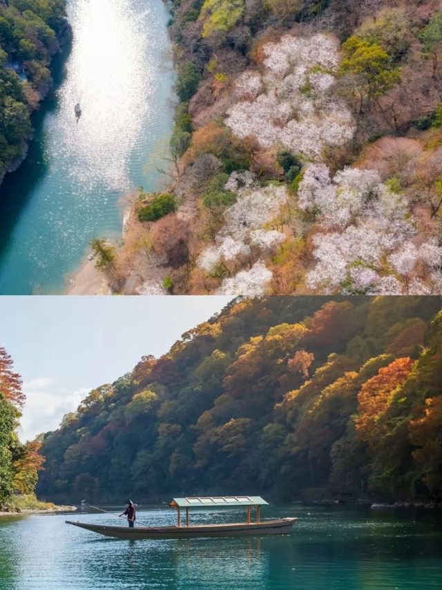 京都的虹夕諾雅，窗外是紅葉，窗內是人間。