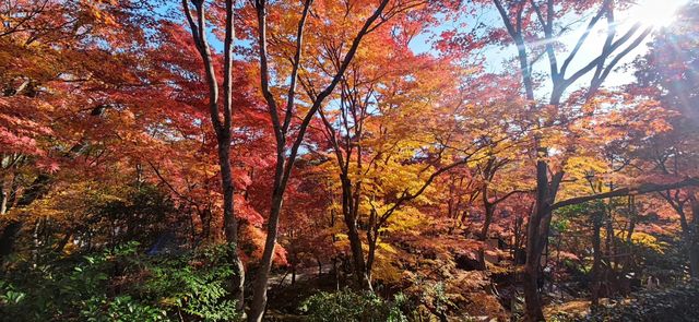 常寂光寺