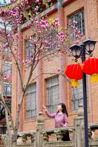 玉蘭花開！遊廣州小眾古建citywalk