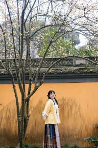 新昌大佛寺|賞花燈，遊古寺，邂逅一場禪意與美景
