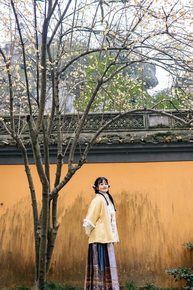 新昌大佛寺|賞花燈，遊古寺，邂逅一場禪意與美景