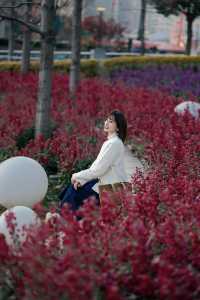 2.10實拍！北外灘的浪漫花海美哭啦
