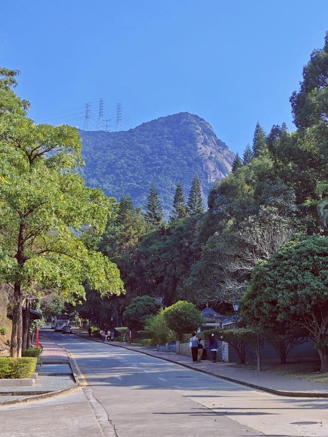 在深圳 | 被塔林秘境吸引的小眾打卡地