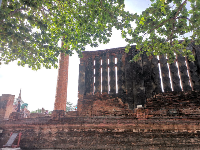 大城一日遊（寺廟遺址騎大象樹抱佛山竹）。