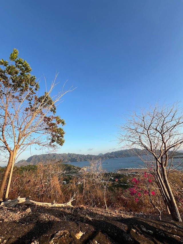 春節玩轉菲律賓 超全攻略來襲