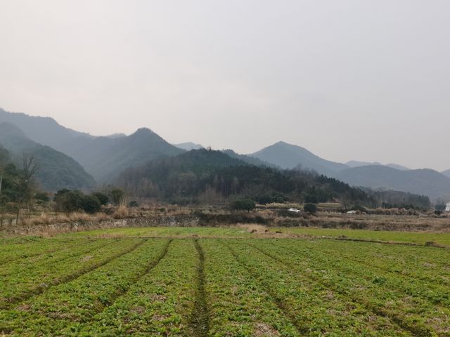 美麗鄉村 南陵霭里