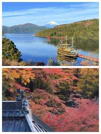 探索日本三島市：自然與文化的完美融合